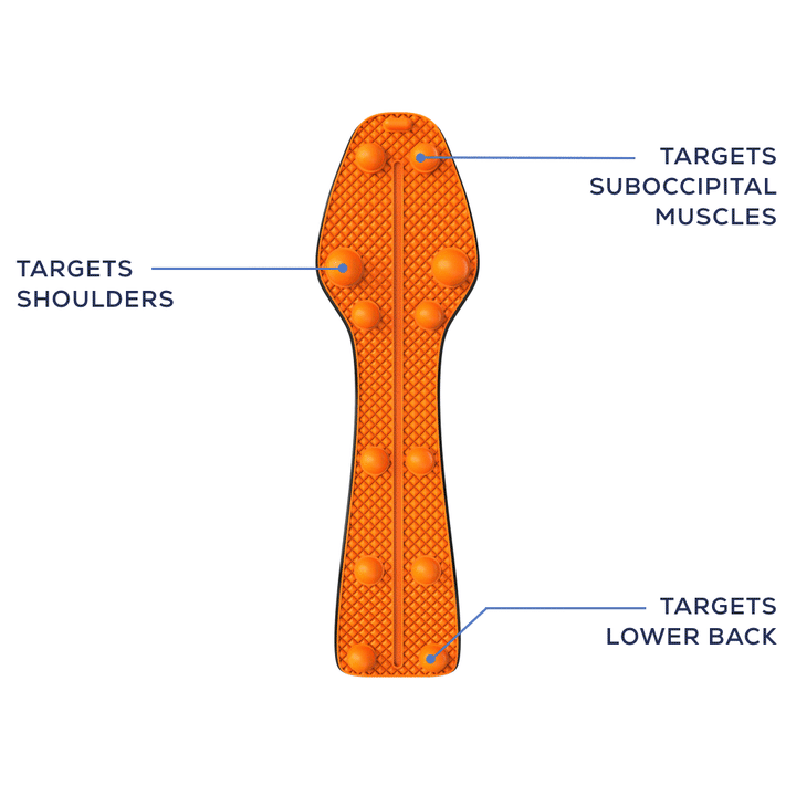 Orange - Standard Firmness